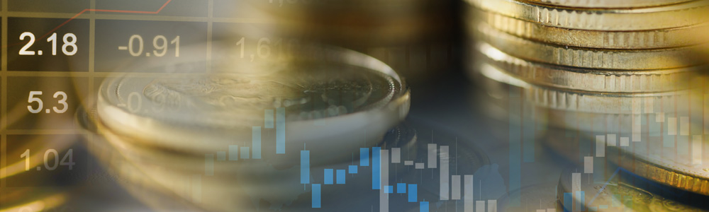 ماجستير بحثي في العلوم الإدارية: العلوم المالية